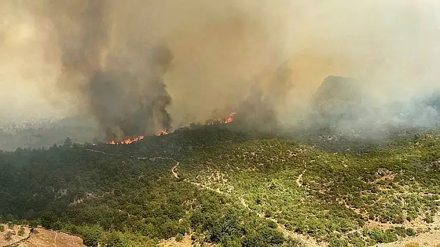 Çanakkale'de orman yangını