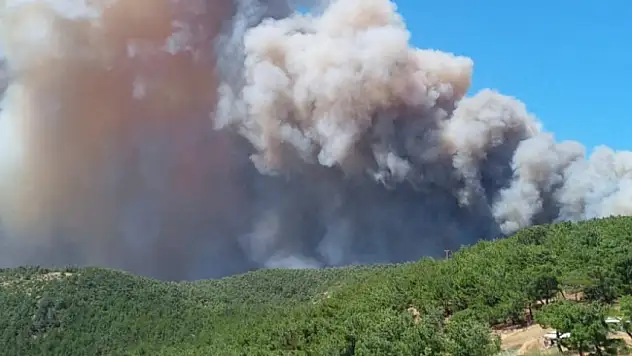 Çanakkale'de orman yangını