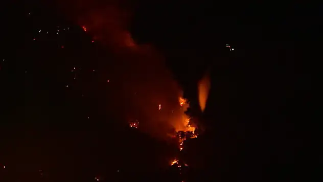 Çanakkale’de orman yangını devam ediyor