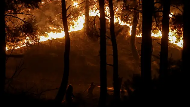 Çanakkale'deki orman yangını kontrol altına alındı