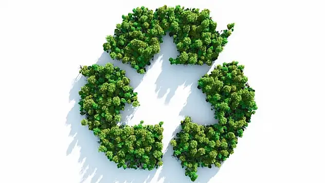 Çevresel sürdürülebilirlik nasıl sağlanır?