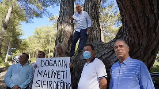 CHP'li Tanal kendini böyle savundu