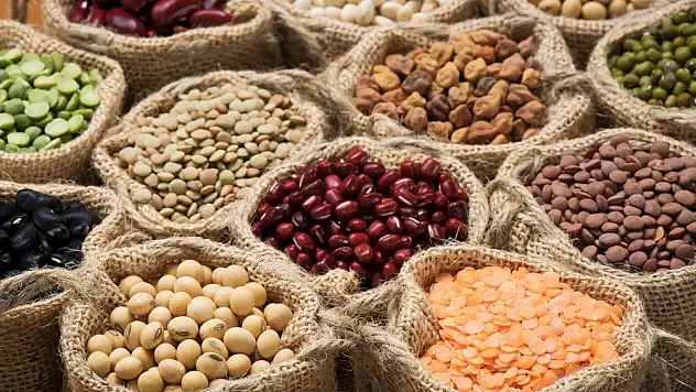 Daha az suya ihtiyaç duyulmasıyla bakliyat Türkiye de öne çıkıyor