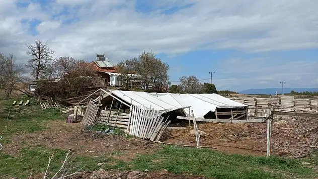 Denizli’de ahıra kurt girdi… 5 koyun telef oldu