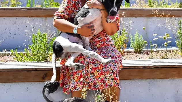 Depremzede köpeğe sahip çıkıldı