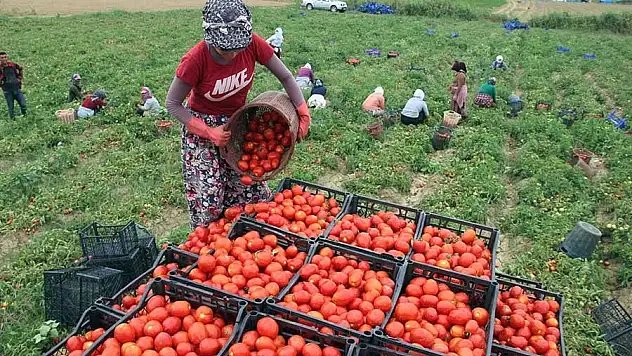Ekonomist Muratoğlu: 86 milyon kişiye 31 milyon kişi bakıyor