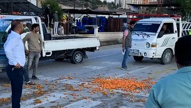 Fiyatı 2 günde 60 liradan 5 liraya düştü. Üretici isyanda!!