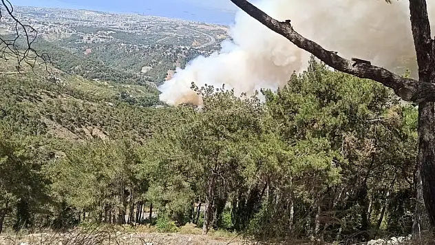 Hatay'da orman yangını