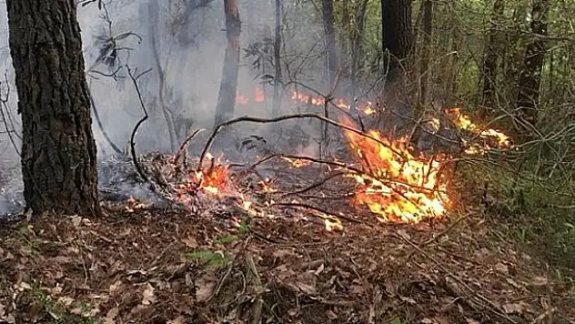 Hatay'da ormanlık alanda yangın
