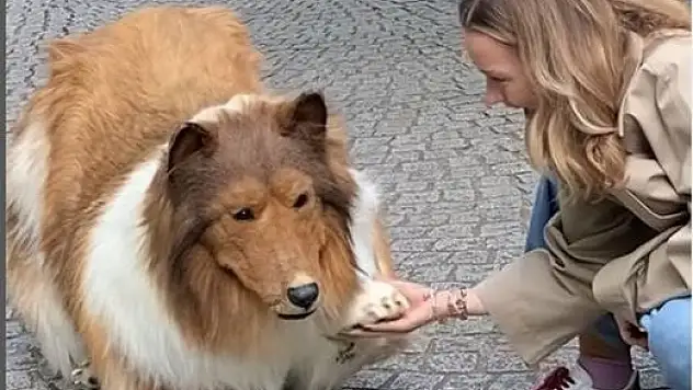 Hayalini gerçekleştiren Toko