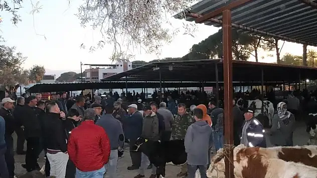 Hayvan pazarlarında yoğunluk yaşandı