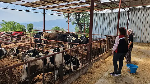 Hayvancılıkta Hijyen ve Refah İçin Sıkı Denetim