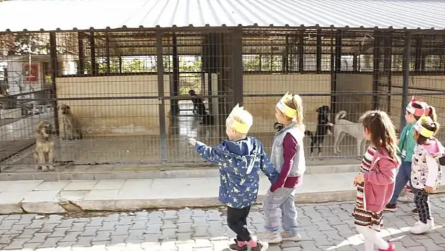 Hayvanları Sevmekle Başlayan Farkındalık