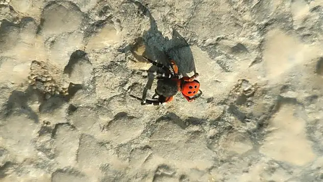 HÜRRİYET MAHALLESİ'NDE GÖRÜLEN ZEHİRLİ ÖRÜMCEK KORKUTTU