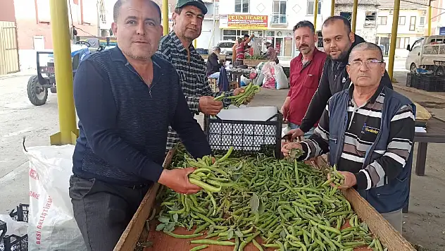 İlkbahar sebzesi baklada hasat zamanı