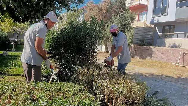 İstiklal Mahallesi Ahmet Faruk Niğde Parkı'nda Budama Çalışması