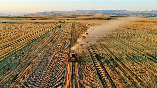 İTG pozitif ayrımcılık istiyor