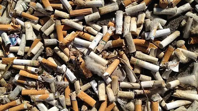 İzmarit toplama etkinliği