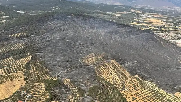 İzmir Aliağa'daki Orman Yangını 21,5 Saatin Ardından Kontrol Altına Alındı