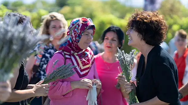 İzmir Büyükşehir Belediyesi, lavanta hasadının son günlerinde