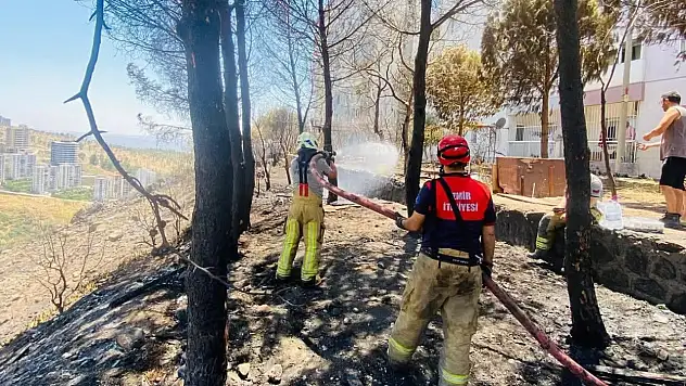 İzmir Büyükşehir Belediyesi'nden Yangınlara Karşı Kesintisiz Mücadele