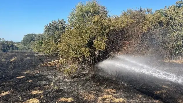 İzmir'de Üç Ayrı Noktada Yangın! Ekipler Zamanında Müdahale Etti