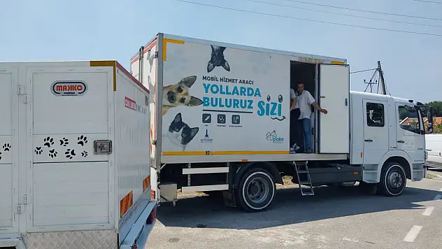 İzmir İtfaiyesi ve Veteriner Ekiplerinden Alevler Arasında Can Kurtarma Operasyonu