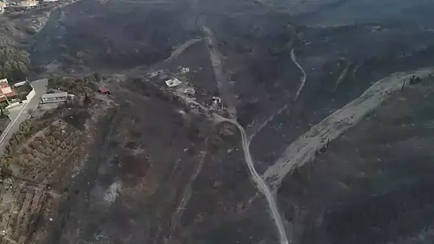 İzmir, Manisa ve Hatay'da Orman Yangınları Devam Ediyor: Tahliyeler ve Kritik Müdahale