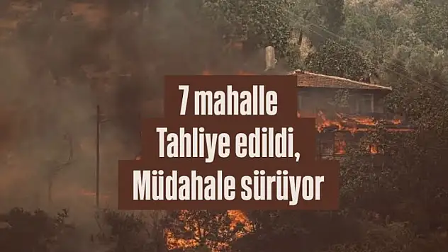 İzmir Ödemiş'te Orman Yangını: 7 Mahalle Tahliye Edildi, Müdahale Sürüyor