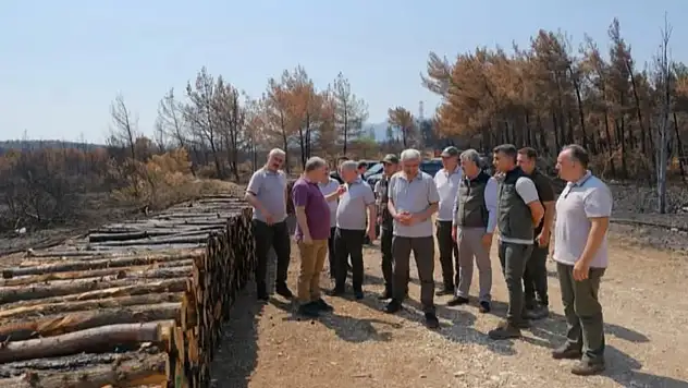 İzmir ve Manisa'da yangın yaraları sarılıyor