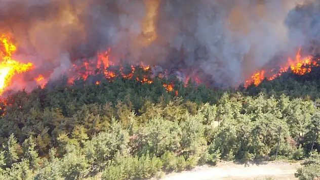 İzmir'de orman yangını