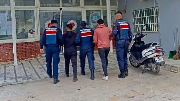 JASAT ekipleri zeytinyağı çalan iki hırsızı yakaladı