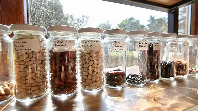 Karşıyaka Belediyesi’nden atalık tohum projesi