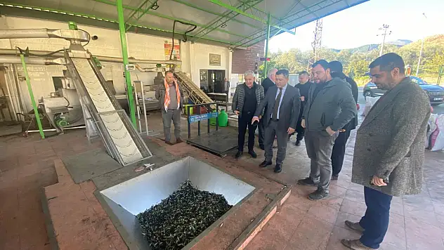 KAYMAKAM ERDOĞAN'DAN BİRGİ'DE ZEYTİNYAĞI FABRİKASINA ZİYARET