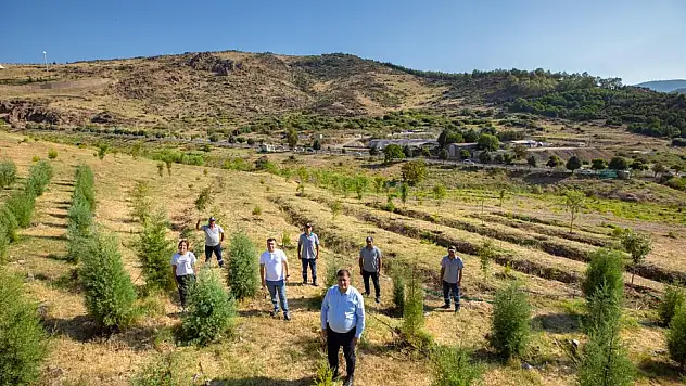 'Kent Ormanı' geleceğe nefes