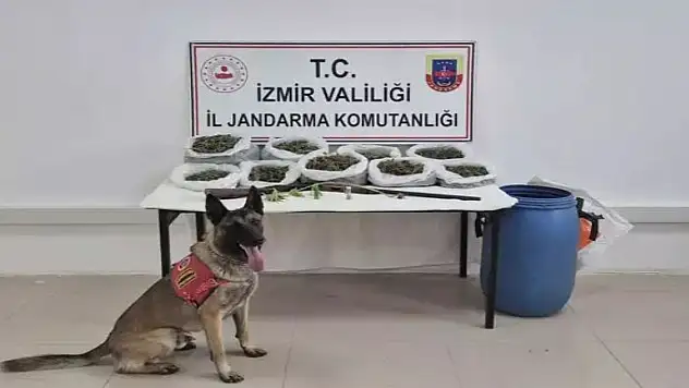 Kiraz'da uyuşturucu Operasyonu 1 gözaltı