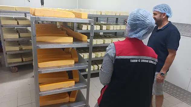 Kiraz Süt ve Süt Ürünleri Üreten İşletmelere Resmi Kontroller