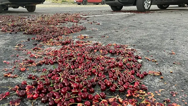 Kiraz üreticileri isyanda: Trafiği kapattılar