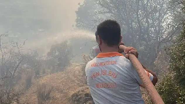 Kiraz'da orman yangını