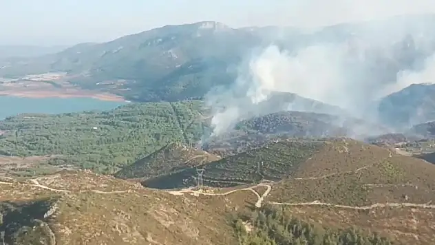 Köyceğiz’de orman yangını söndürüldü