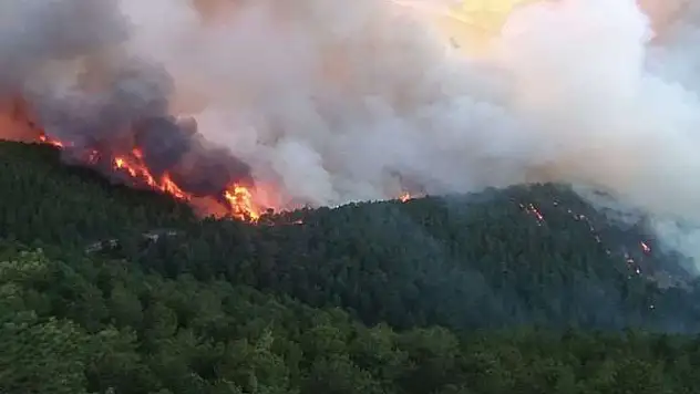 Kütahya’da orman yangını