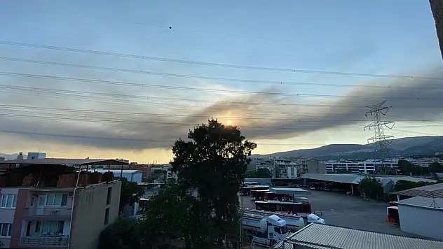 Manisa’da çıkan yangın İzmir'de görüldü