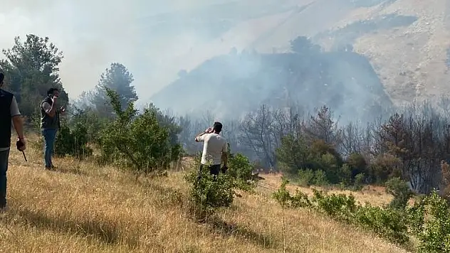 Manisa’da orman yangını