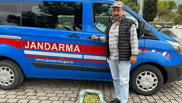 Manisa’da zeytin bahçelerini komandolar koruyor
