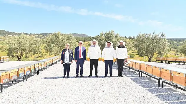 Manisa’nın balları daha kaliteli hale gelecek