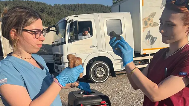 Menderes'teki Yangınlarda Can Dostlar da Unutulmadı: Veteriner Ekiplerinden Gece Yarısına Kadar Seferberlik