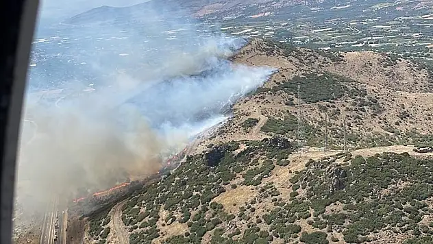 Menemen'de orman yangın kontrol altına alındı