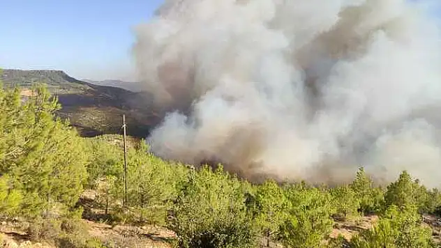 Mersin’de orman yangını başladı