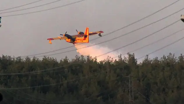 Milas’taki orman yangını kontrol altında