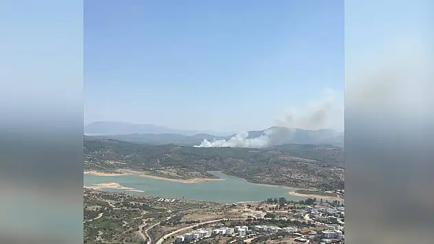 Muğla'nın Milas ilçesinde yangın